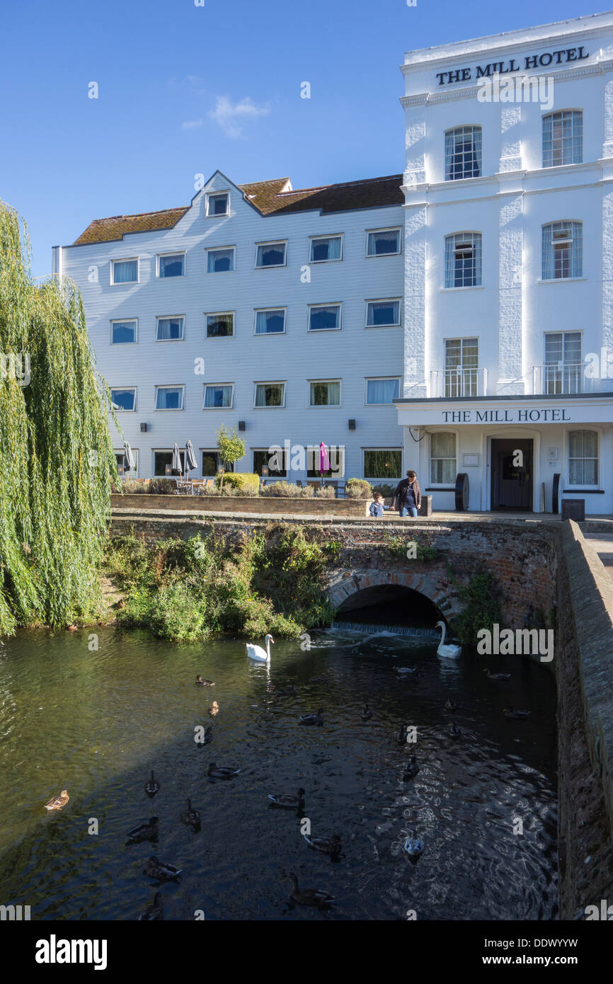 Ducks swimming on the river Stour outside the Mill Hotel at Sudbury, Suffolk, England. Stock Photo