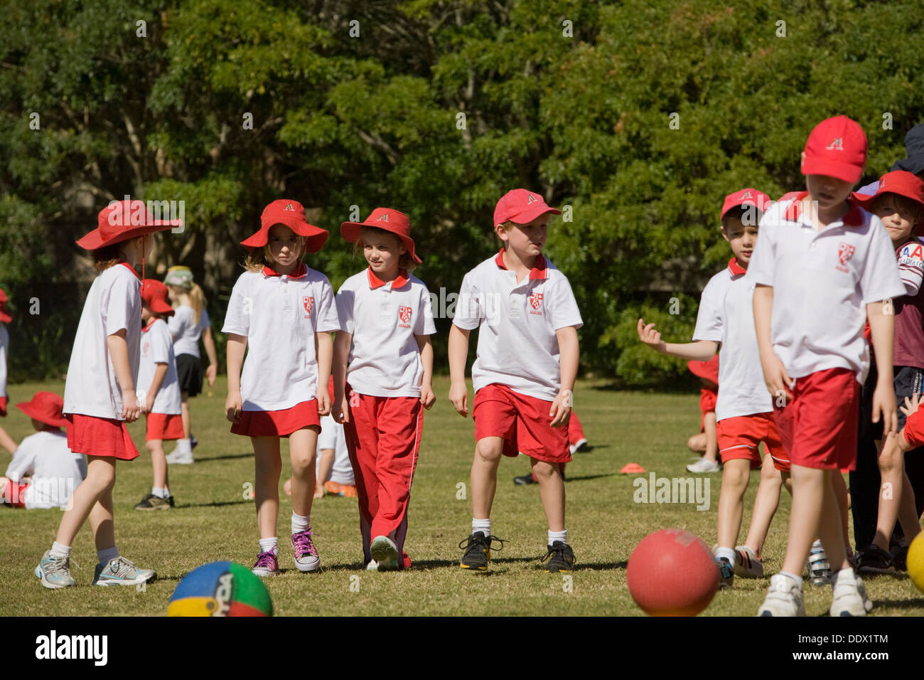 group of sydney primary school children playing sport and activities,avalon,sydney Stock Photo