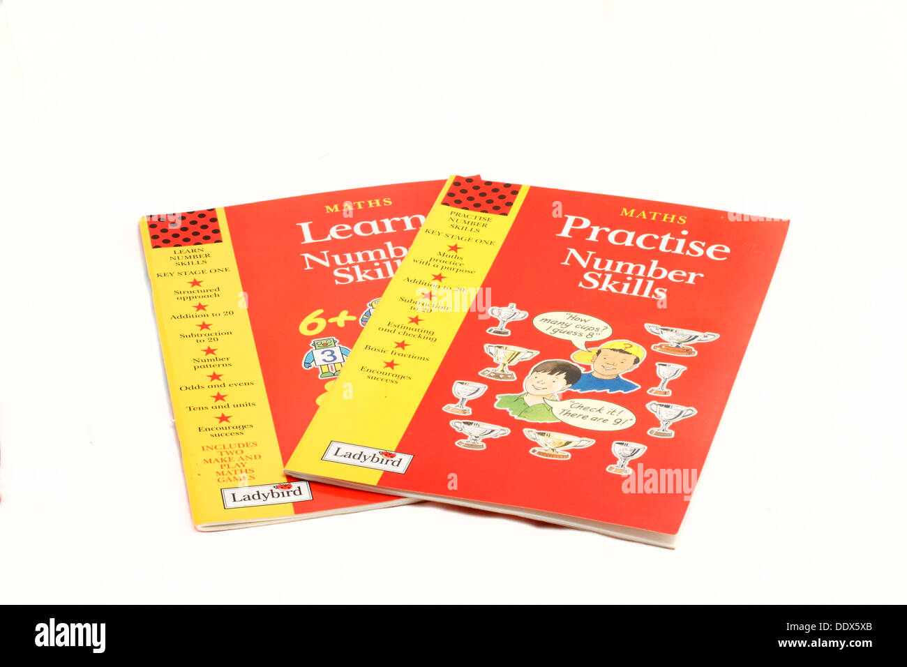 Key Stage One Learn number skills and Practice Number Skills - Ladybird Stock Photo