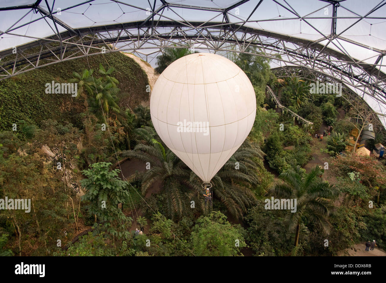Eden Project,Cornwall,UK,a series of artificial biodomes with