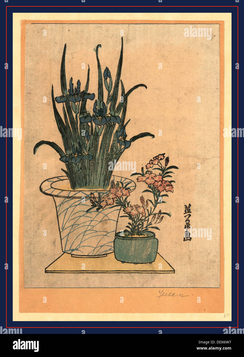 Hanashobu ni nadeshiko, Potted irises and pinks. [between 1818 and 1844], 1 print : woodcut, color ; 21.9 x 16.2 cm., Print Stock Photo