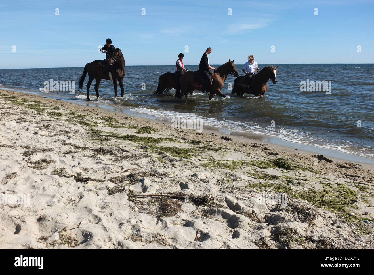 Rewa, Poland 8th, September 2013 People enjoy last suny day this summer on the Baltic Sea beach. Meteorologists predict large cooling and heavy rain in the next days. Credit:  Michal Fludra/Alamy Live News Stock Photo
