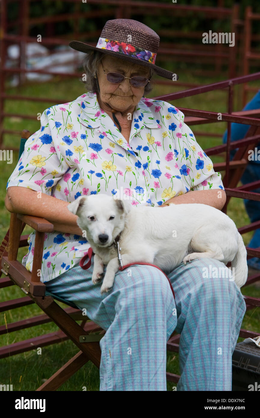 Lap Dogs High Resolution Stock Photography and Images Alamy