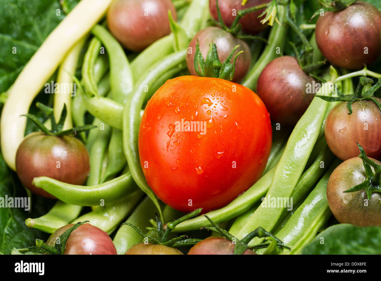 Horizontal photo of a single ripe tomato in a pile of freshly picked vegetables with water droplets on them Stock Photo