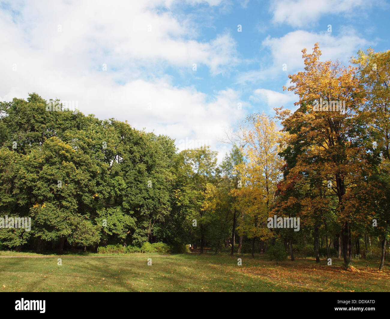 Park in the fall Stock Photo - Alamy
