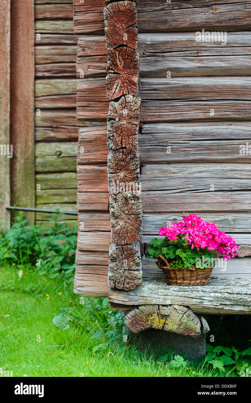 Corner of wooden building with pink flowers Stock Photo