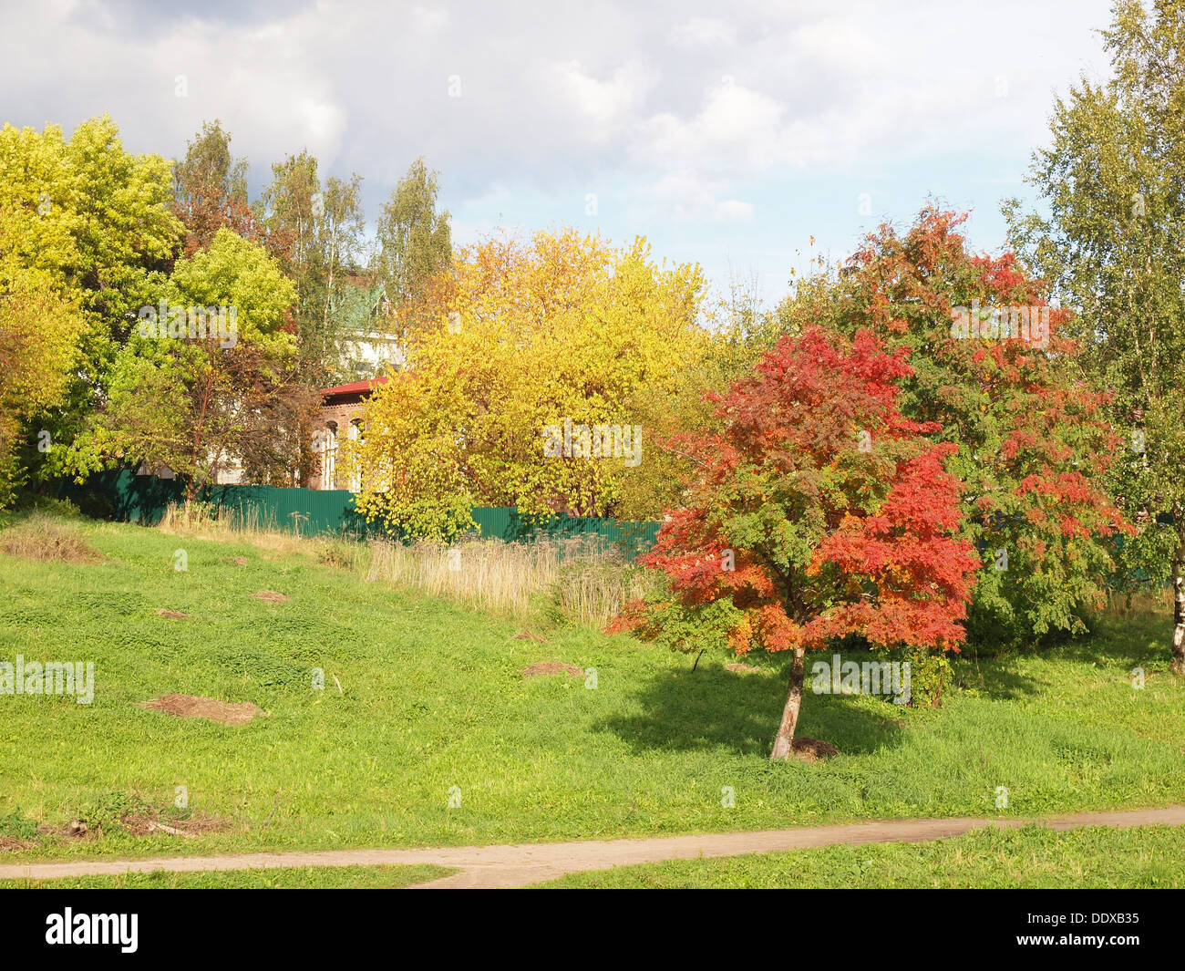 Park in the fall Stock Photo - Alamy