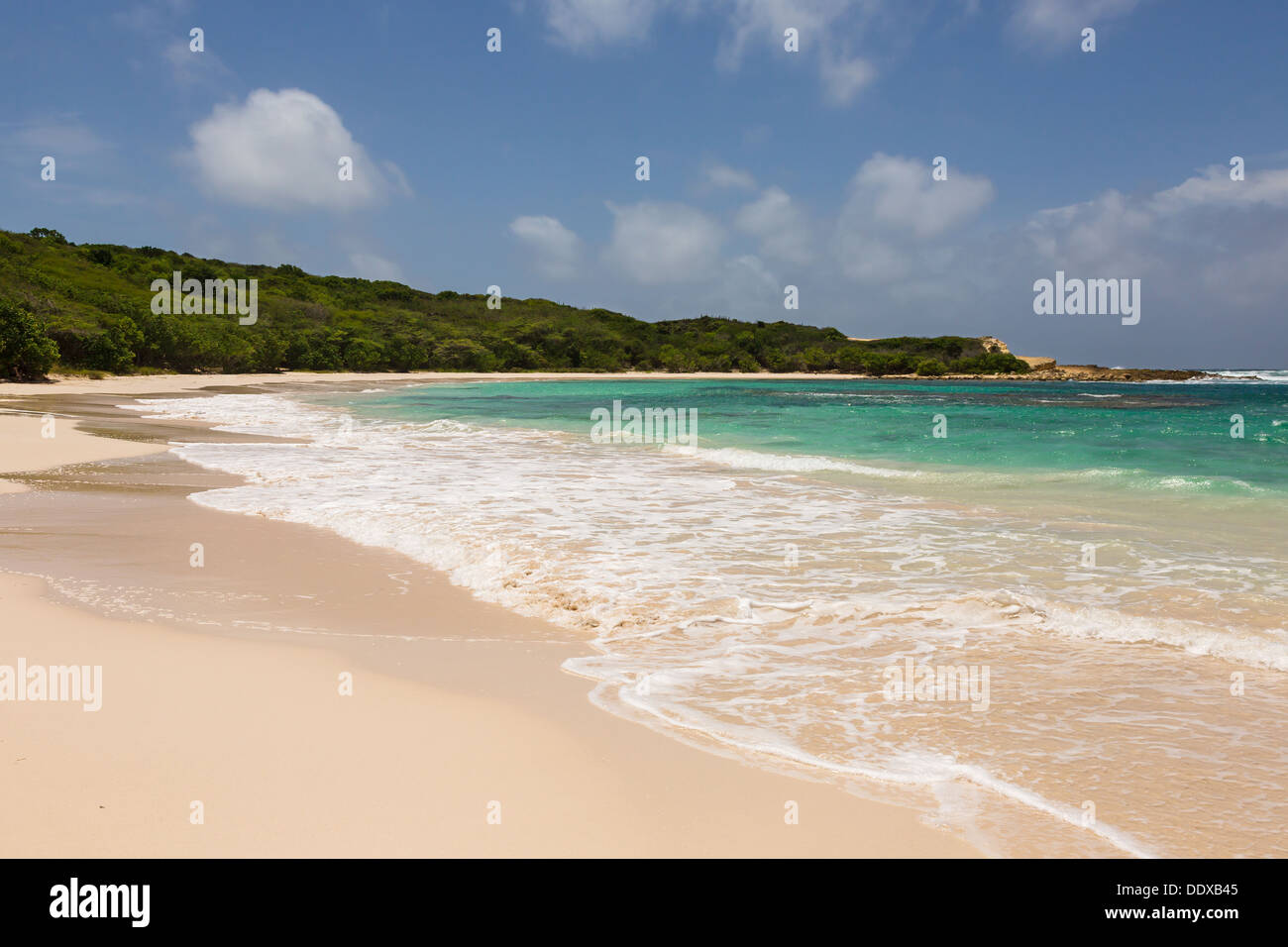 Beautiful Golden Sandy Beach at Half Moon Bay Antigua in the Sunshine