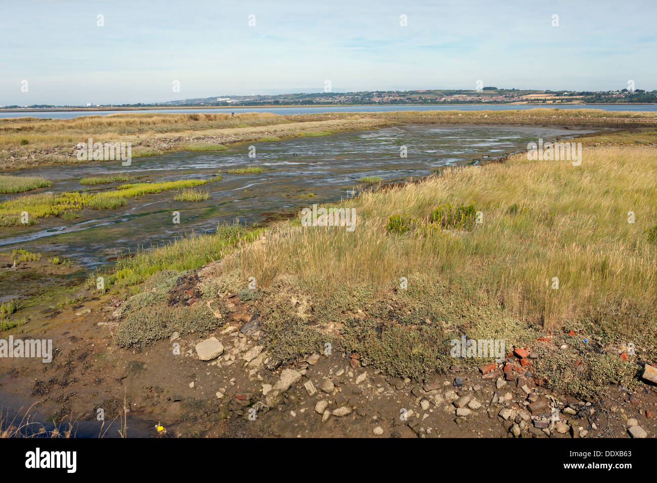 Hayling Island Oyster beds Stock Photo