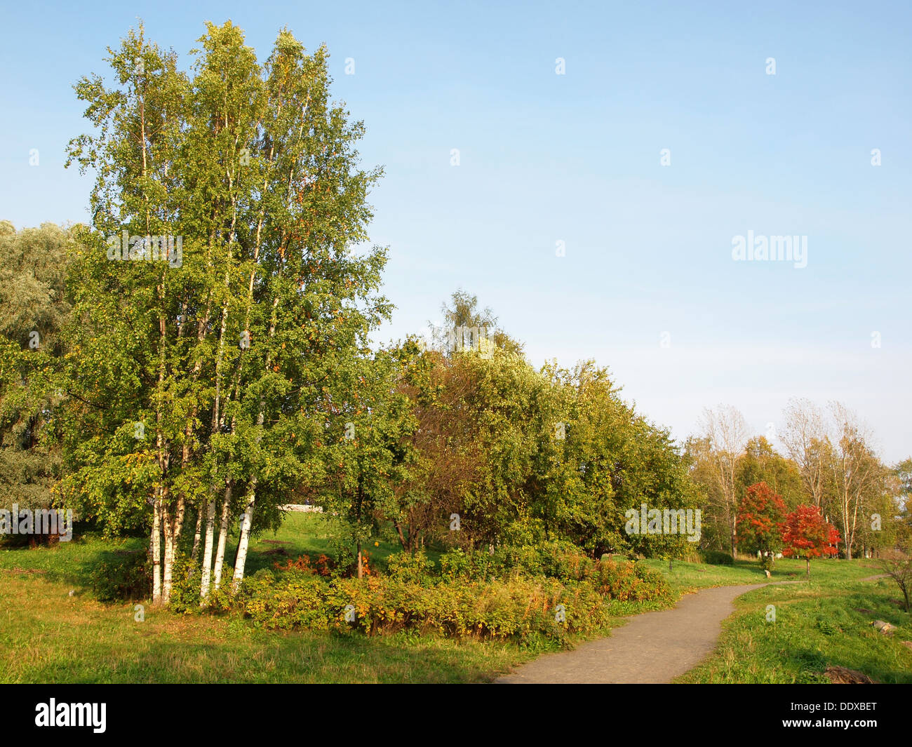Park in the fall Stock Photo - Alamy