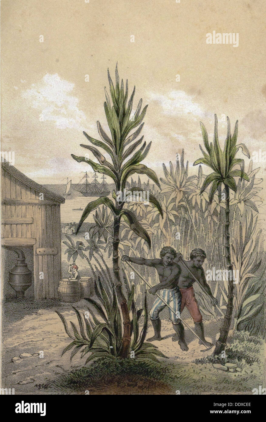 19th Century Sugar Plantation Hi Res Stock Photography And Images Alamy