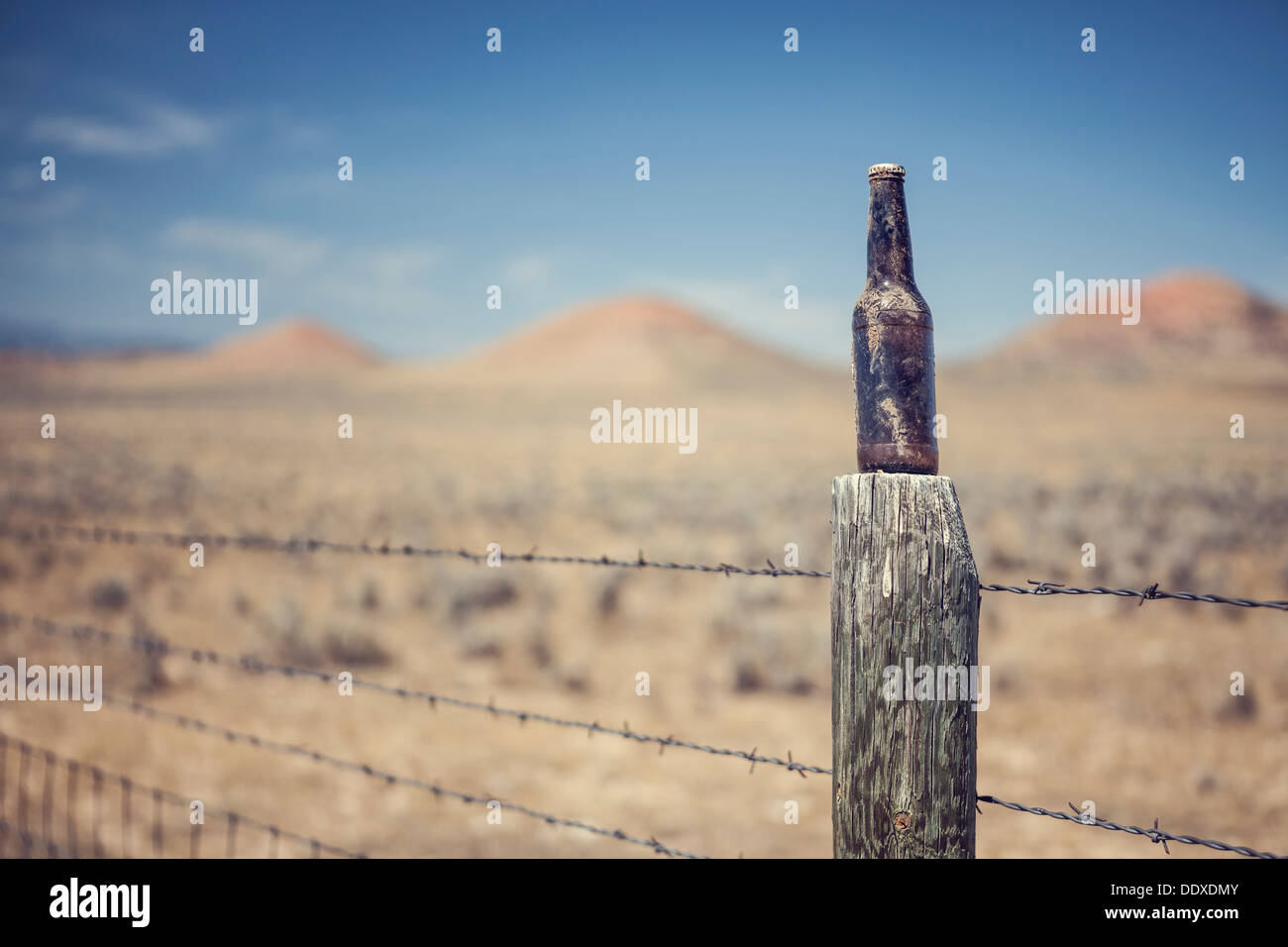 Unopened beer bottle on fence post near Buffalo, Wyoming Stock Photo