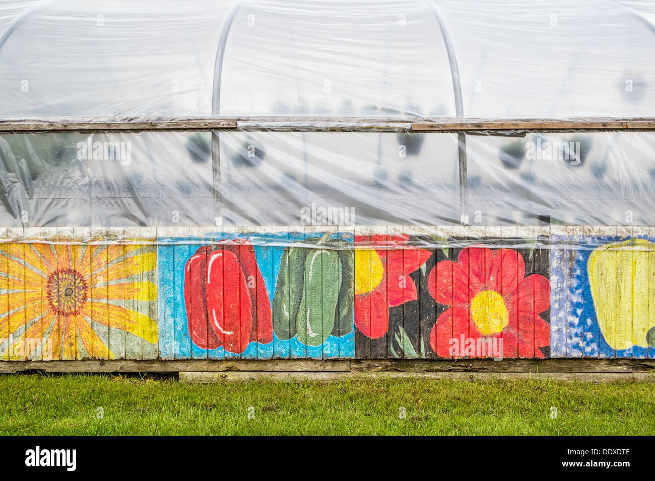 Exterior greenhouse wall painted with vegetables and flowers, Oregon Stock Photo