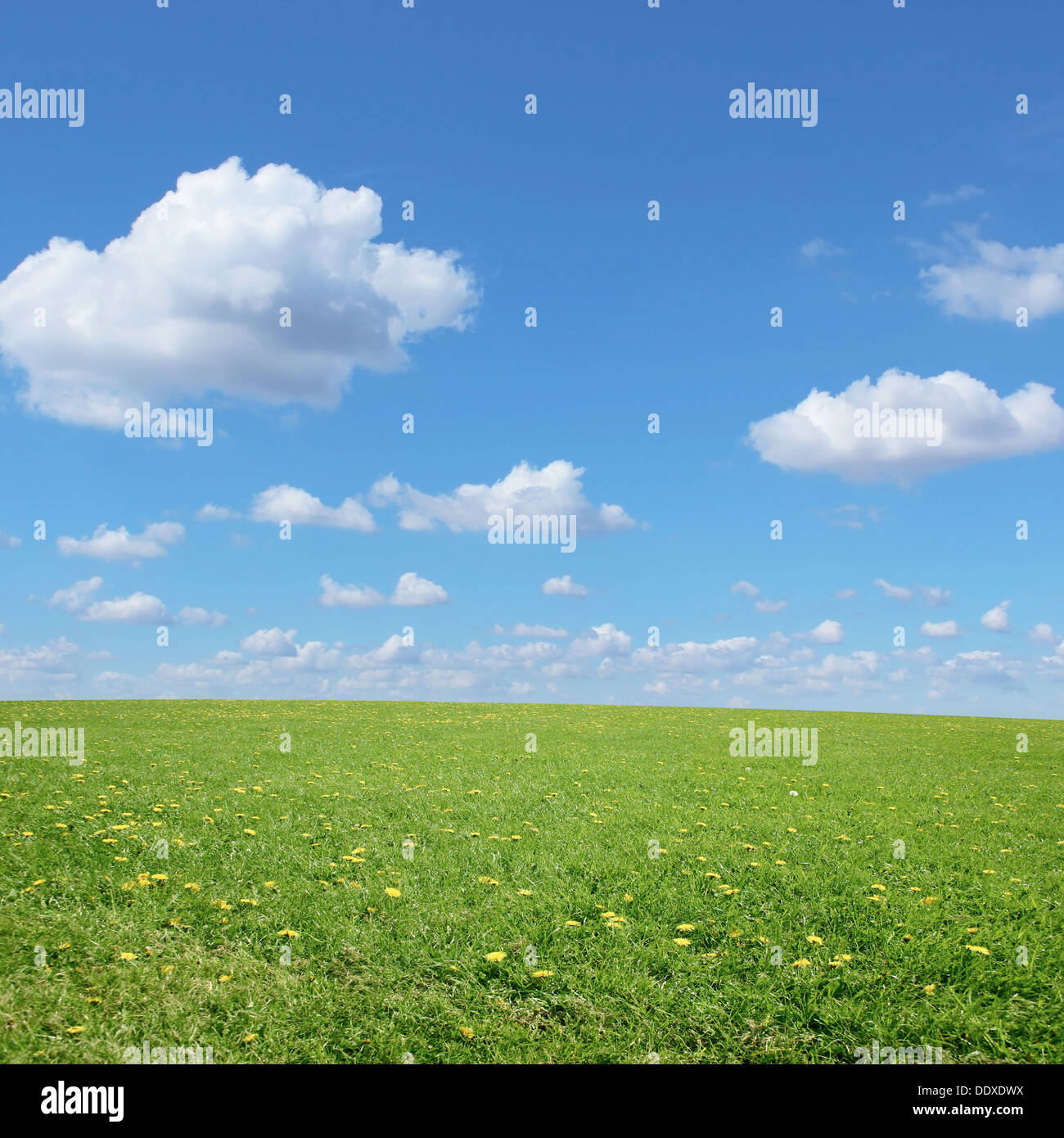 A Green Grass Landscape with Blue Sky and Clouds Stock Photo - Alamy