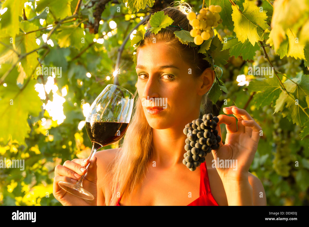 Woman with glass of wine in the vineyard with sunshine, she is the wine ...