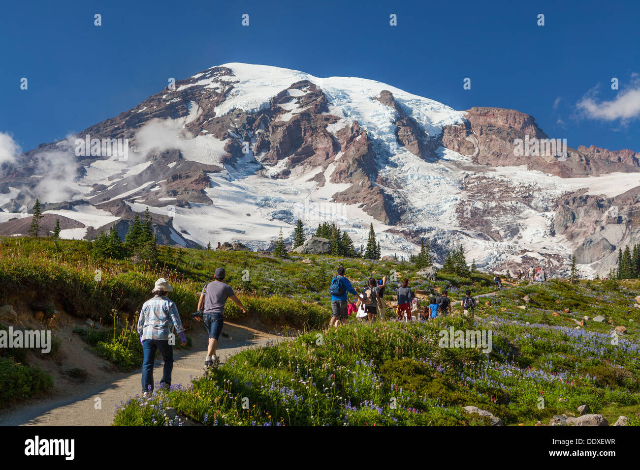 Mount Rainier National Park, Washington Stock Photo