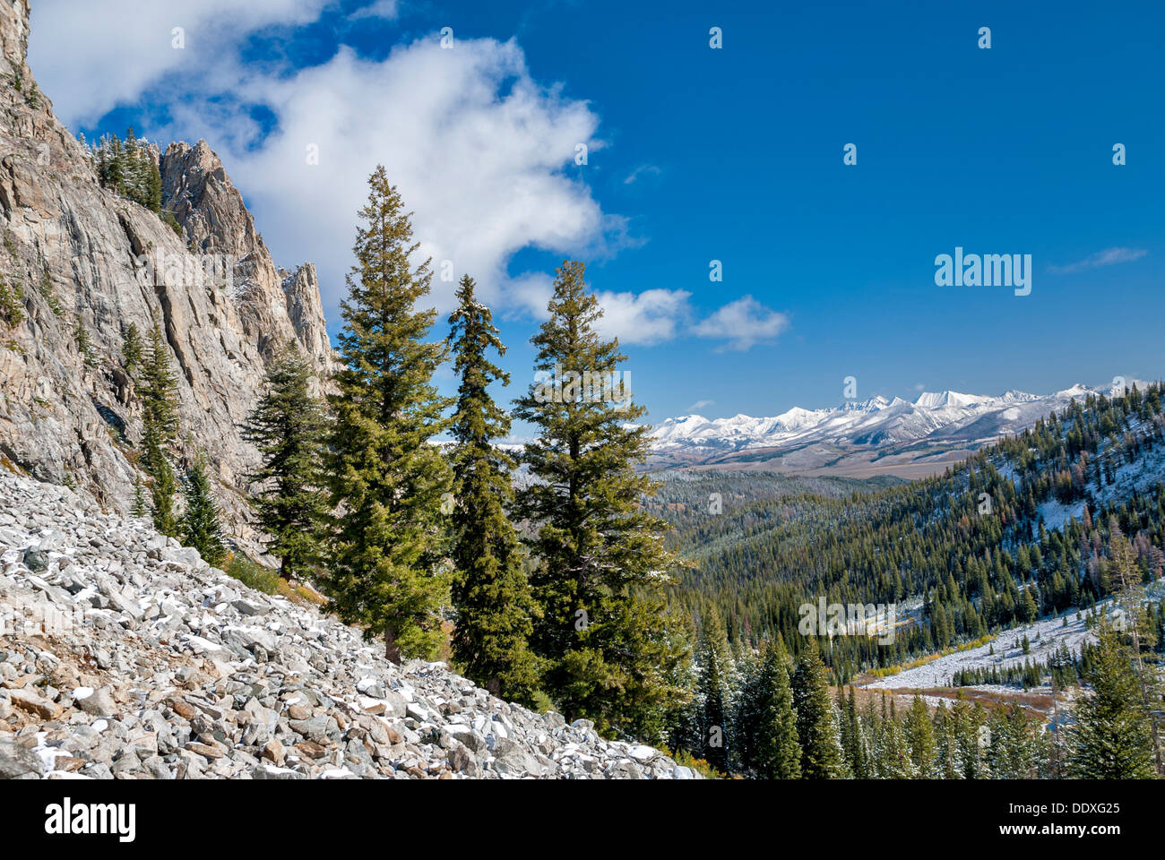 Rocky peaks covered with snow and pine trees Stock Photo - Alamy