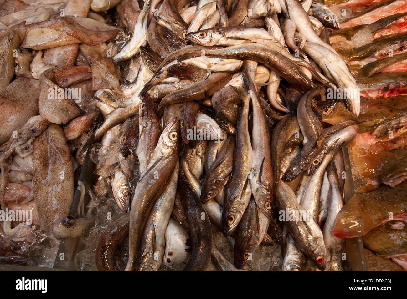 Fish and seafood market, East Broadway, Chinatown, New York, United
