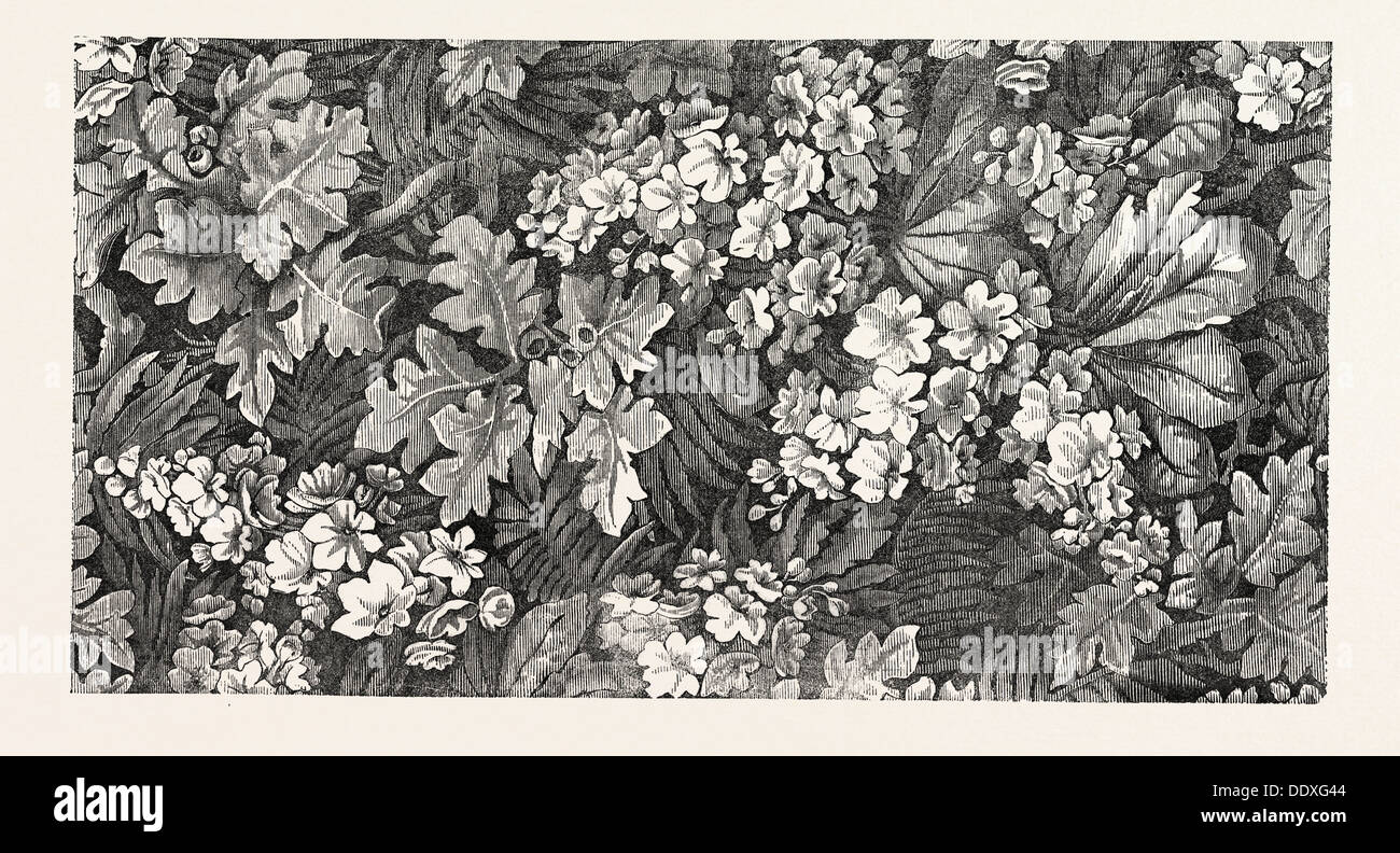 Kidderminster carpet hires stock photography and images Alamy