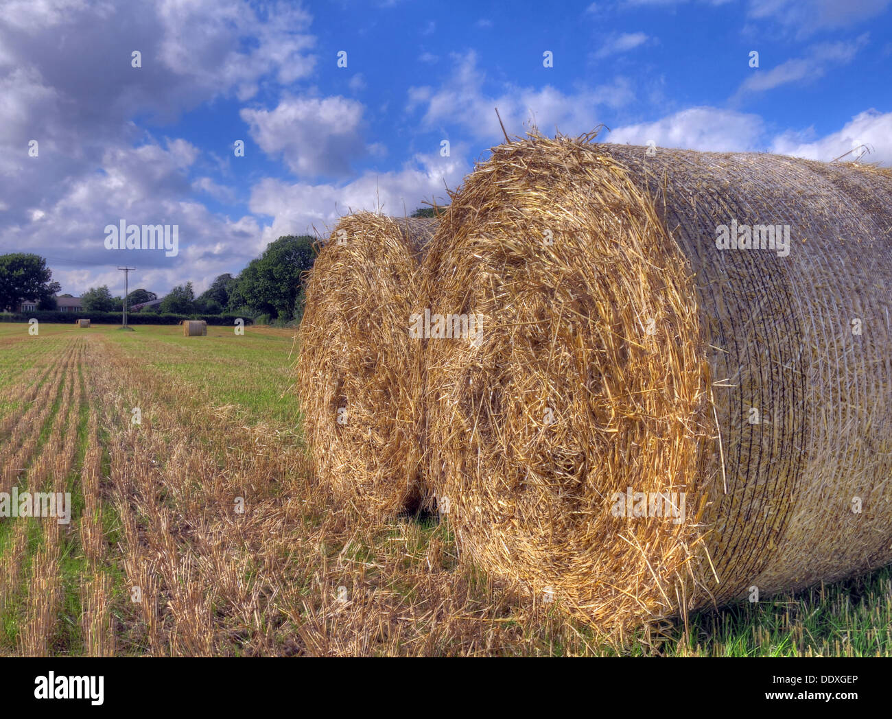 Bales of hay in a field in Cheshire England UK summer sunshine and a blue sky Stock Photo