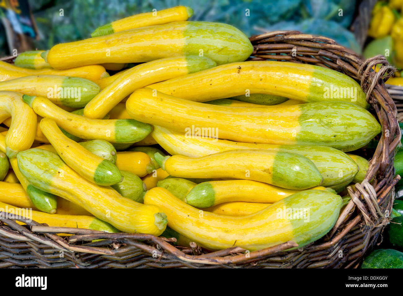 Many yellow vegetables in a basket at a market Stock Photo