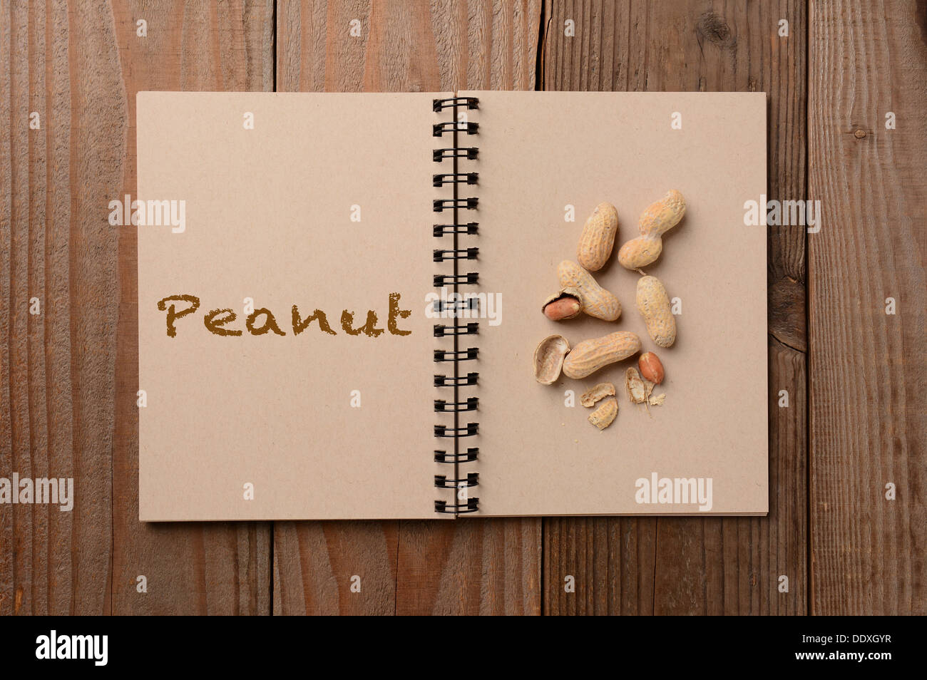 A group of peanuts on the blank page of a notebook. The opposite page has the word Peanut spelled out. Stock Photo