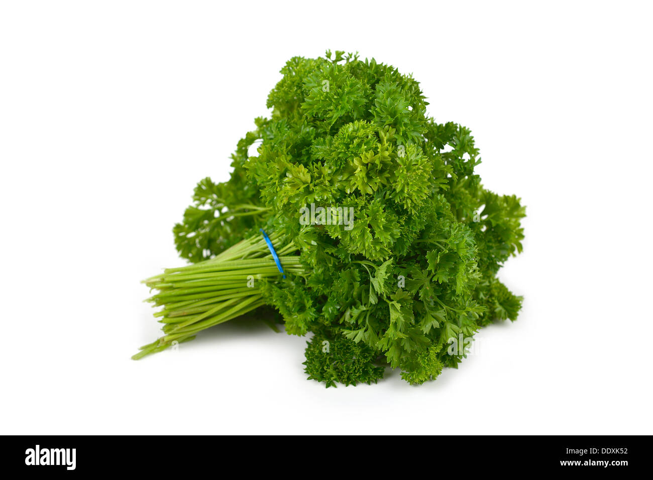Parsley, Curly, Bunch Stock Photo