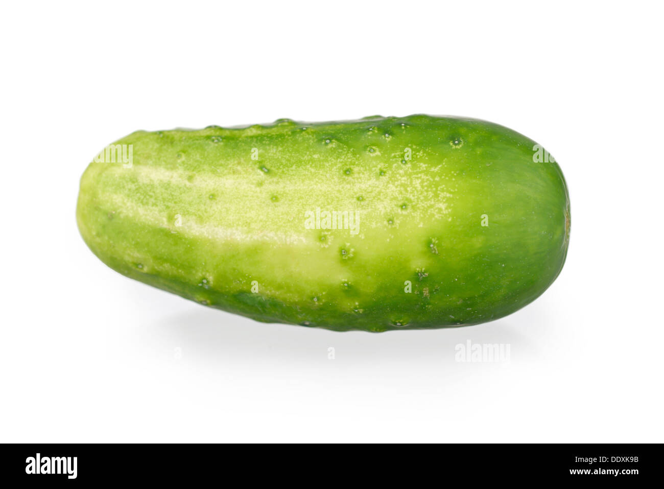 Cucumber, Fresh Gherkin, One Single Cucumber Stock Photo