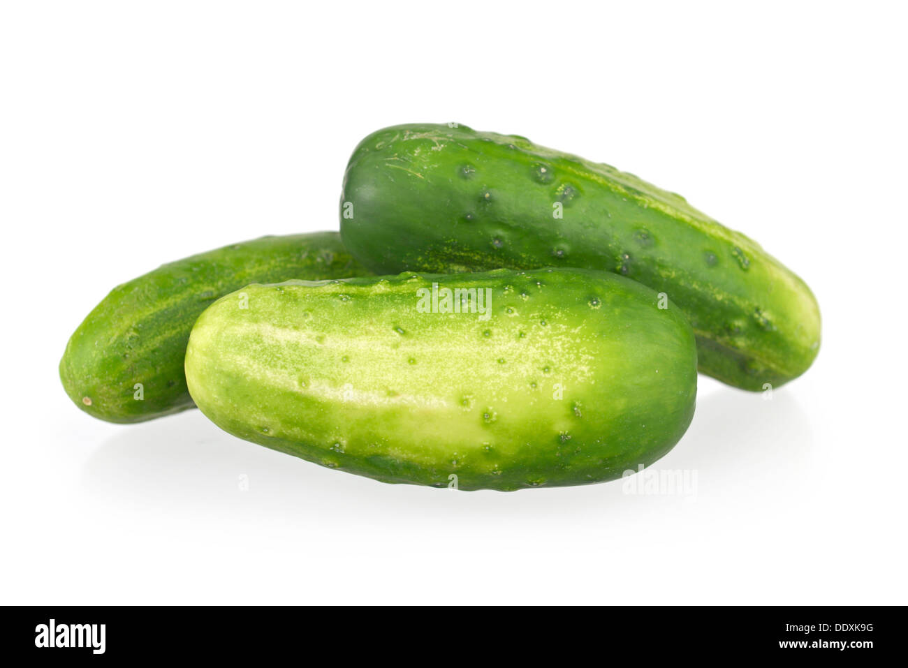 Cucumbers, Gherkins, Fresh Cucumber, Gherkin Stock Photo