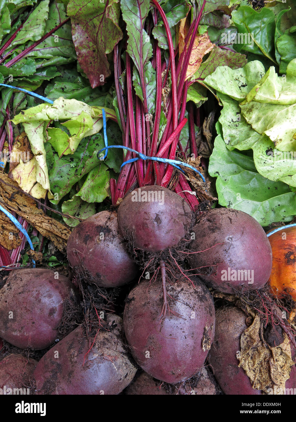 Organic red Beetroot on sale at a farmers market with stalk, Warrington, Cheshire , England, UK, WA1 Stock Photo