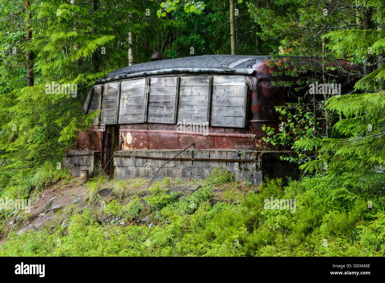 Abandoned bus in trees, Orsa, Dalarna, Sweden Stock Photo