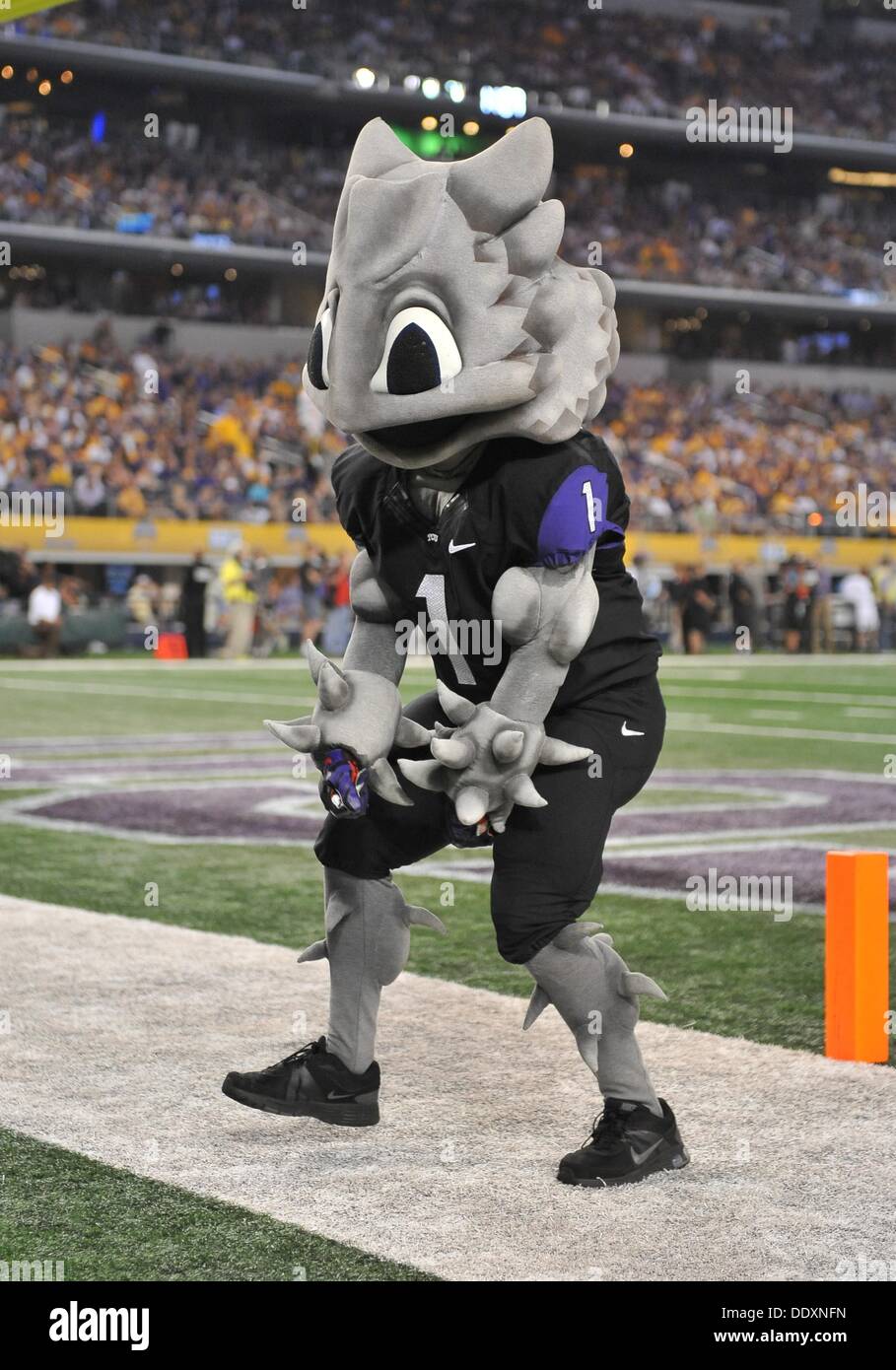 Aug. 31,2013:.TCU Horned Frog mascot in action.in a NCAA football game between the LSU Tigers and the TCU Horned Frogs at AT&T Stadium in Arlington, Texas.. Stock Photo