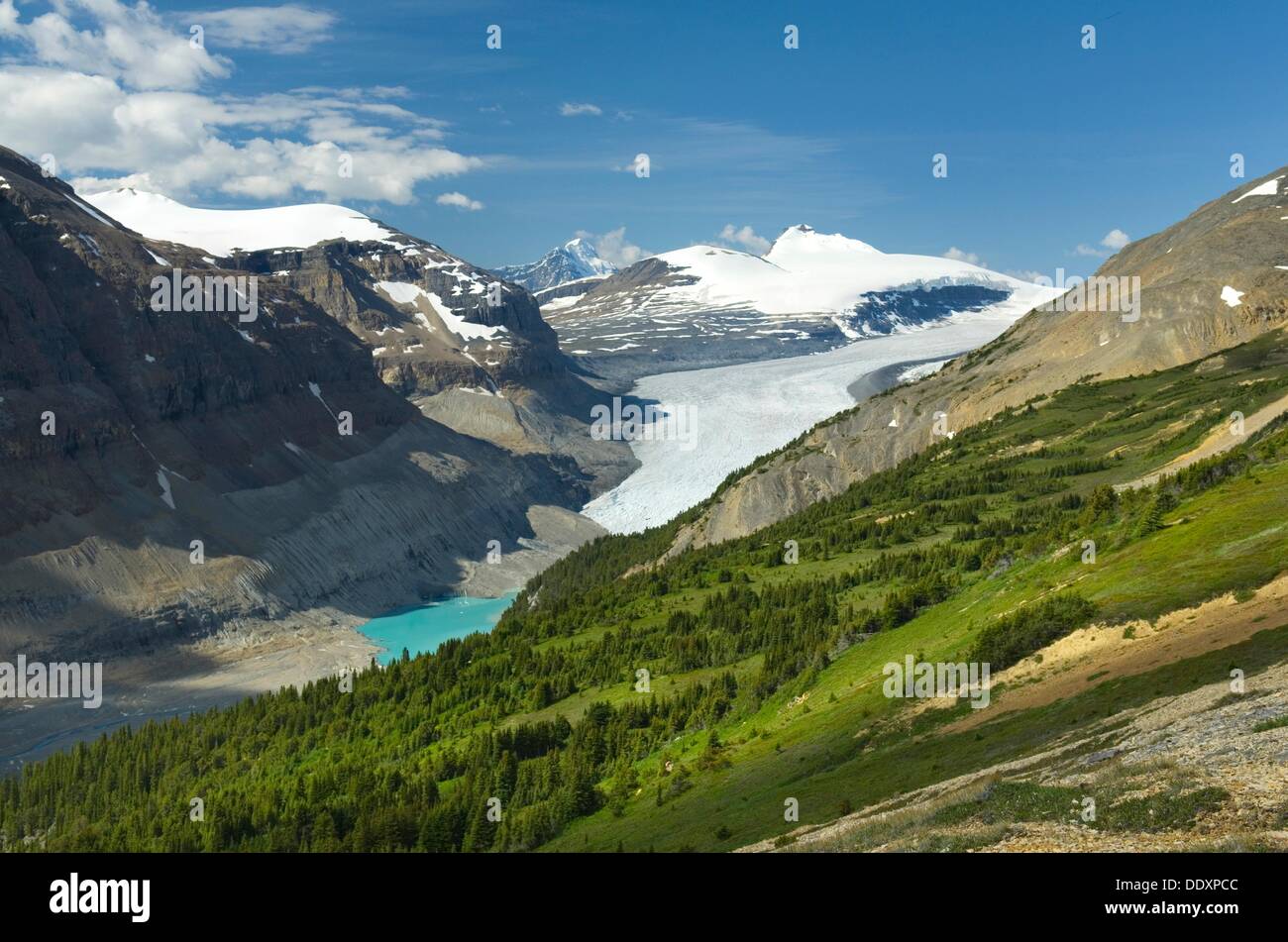 Saskatchewan Glacier seen from Parker Ridge, Banff National Park