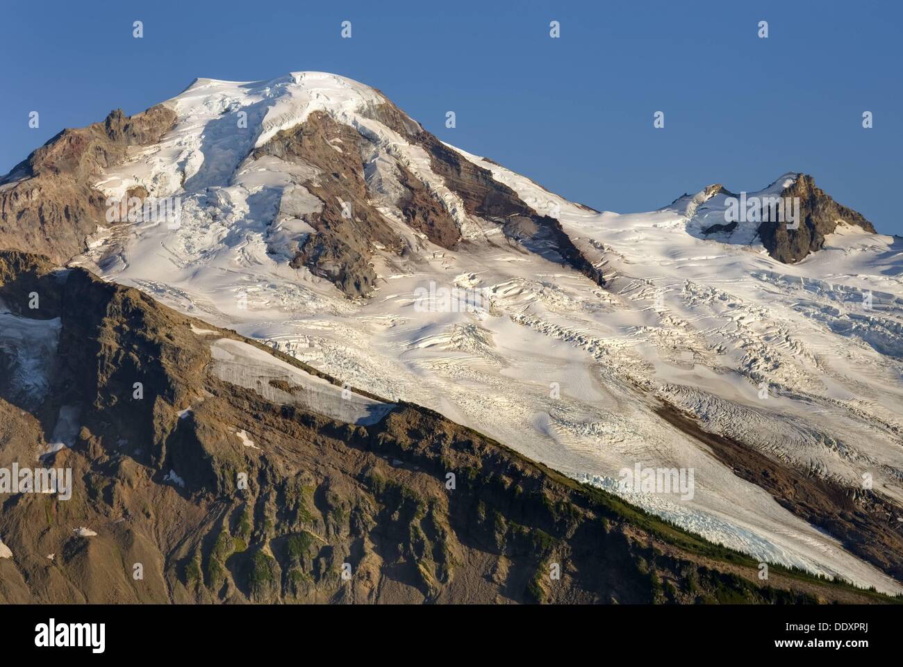 Mount Baker elevation 10,778 feet 3,285 m seen from Chowder Ridge