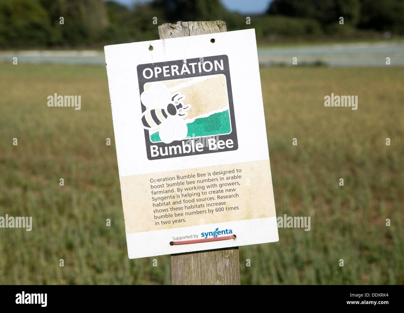 Operation Bumble Bee nature conservation scheme sign at field boundary, Hollesley, Suffolk, England Stock Photo