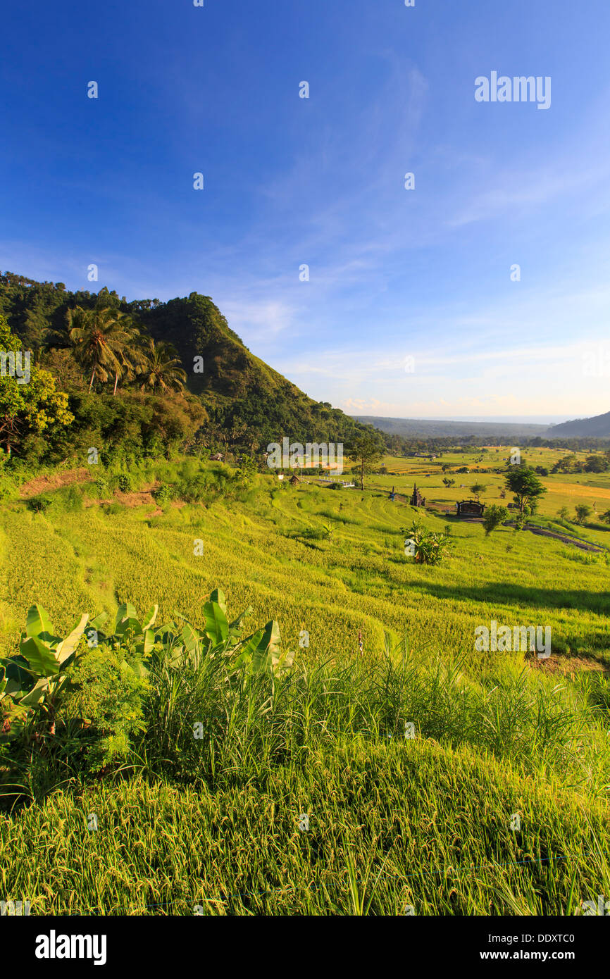 Indonesia, Bali, East Bali, Culik, Rice Terraces and mountains near the Amed coast Stock Photo