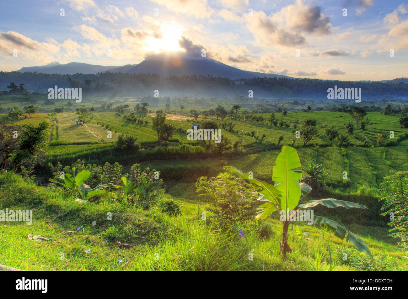 Indonesia, Bali, Tirta Gangga, Rice Terraces with Gunung Lempuyang and Gunung Seraya in the background Stock Photo