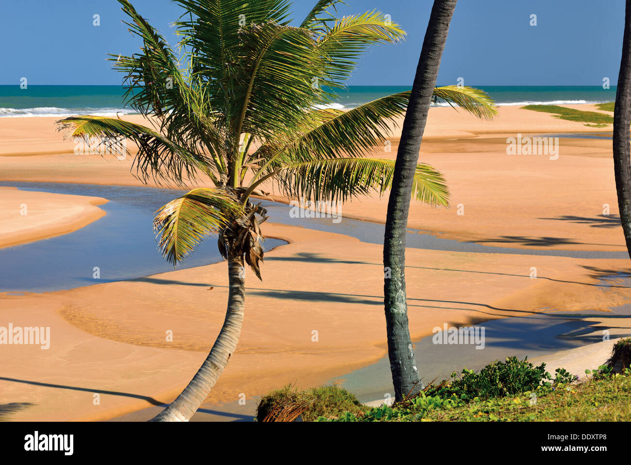 Brazil, Bahia: Natural beach of Imbassí in the north of Salvador da Bahia Stock Photo