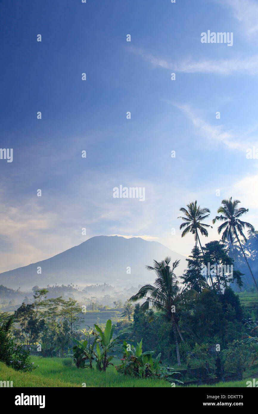 Indonesia, Bali, Sidemen Valley, Rice Fields and Gunung Agung Volcano Stock Photo