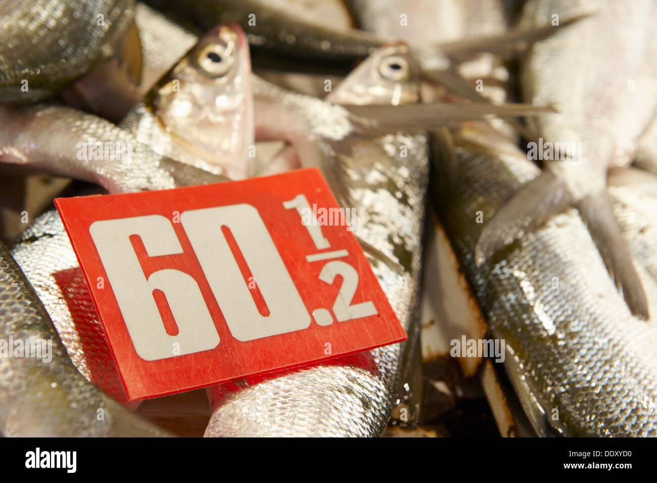 Fish on sale with a price tag on them  mandaluyong city  metro manila  philippines Stock Photo