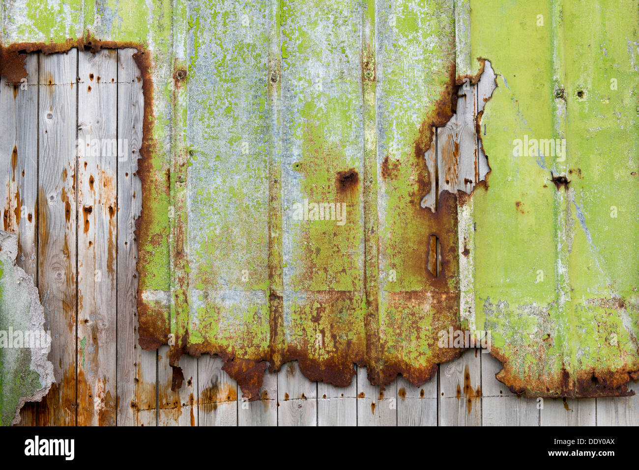 Rusty, bright green trim on wood wall Stock Photo