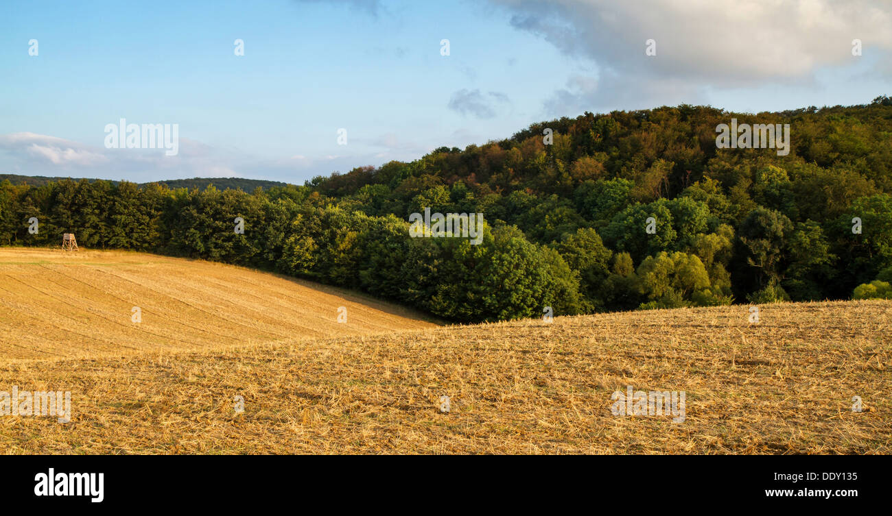 Beautiful arable land in a sunny day Stock Photo - Alamy