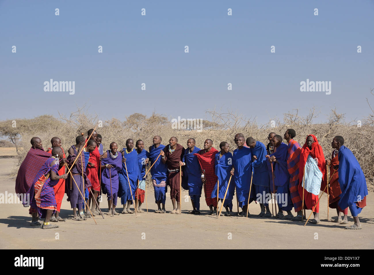 Maasai men dancing Stock Photo