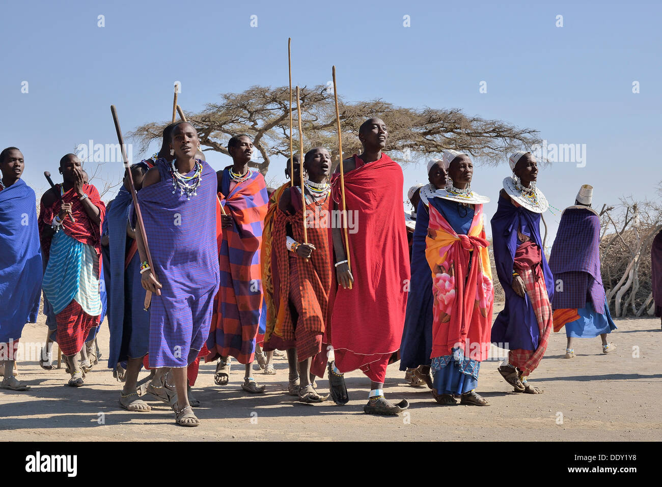 Maasai men dancing Stock Photo