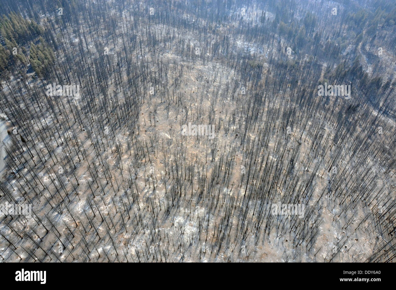 An aerial view of an area devastated by the Rim Fire near Yosemite National Park August 29, 2013 near Yosemite, CA. Stock Photo