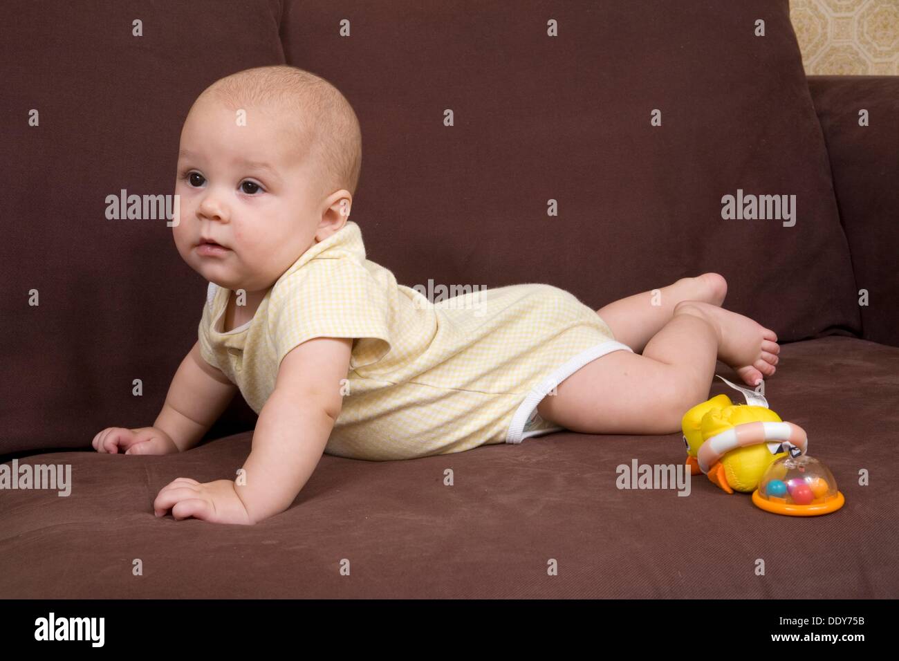 Sixmonth old baby Stock Photo Alamy