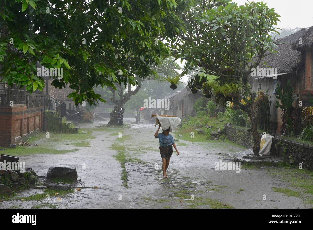 Indonesia, island of Bali, Tenganan, woman walking under a tropical rain Stock Photo
