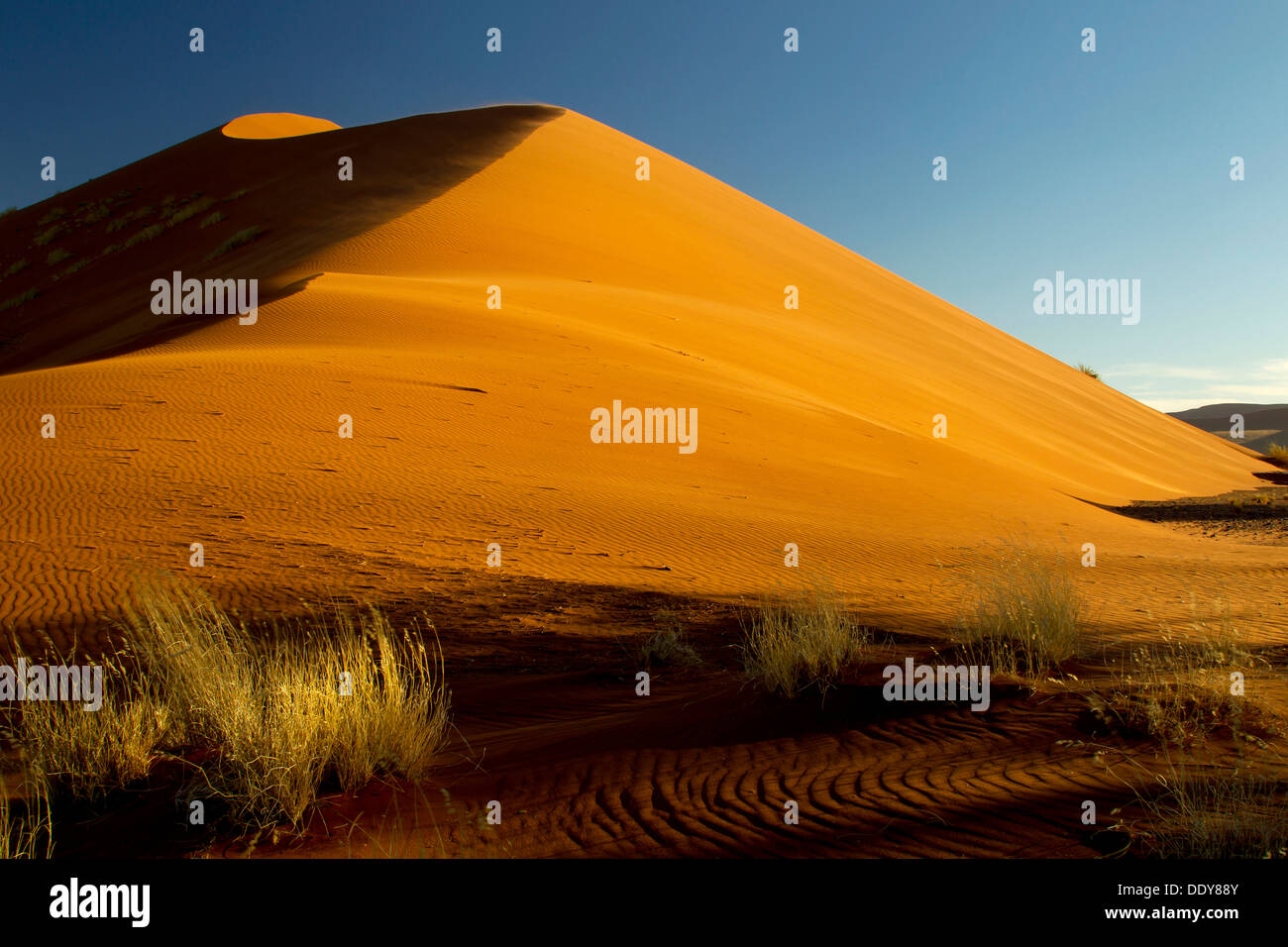 Sand dune in the evening light Stock Photo