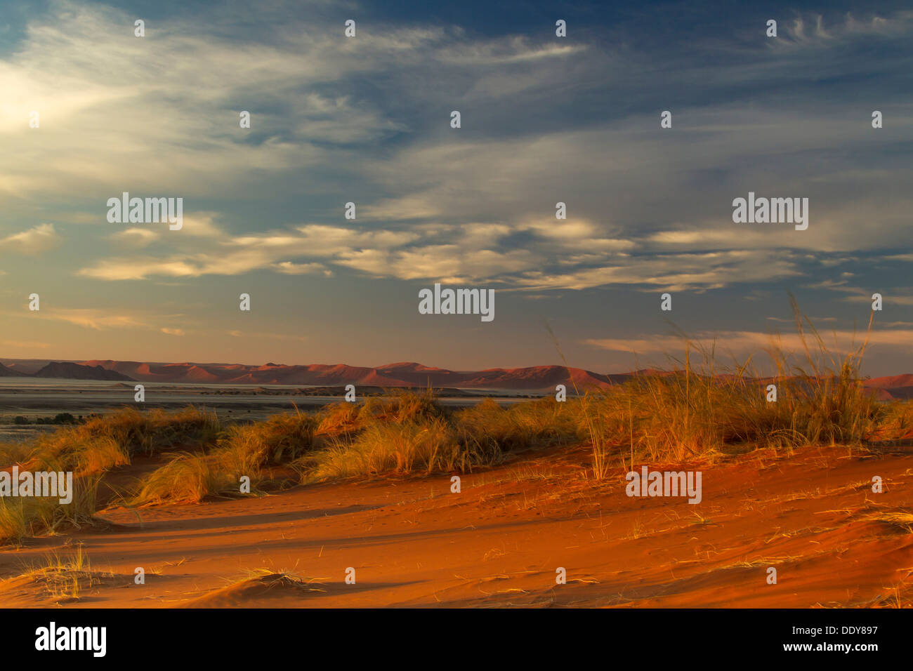 Landscape with sand dunes in the morning Stock Photo