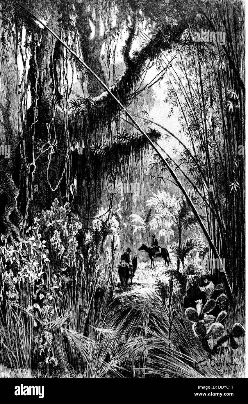 Geography travel argentina landscape Black and White Stock Photos